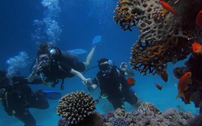 buceo en fuerteventura explorando el mundo submarino