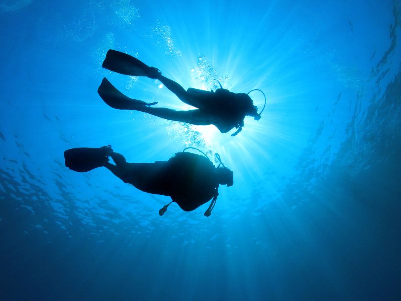 buceo en la herradura