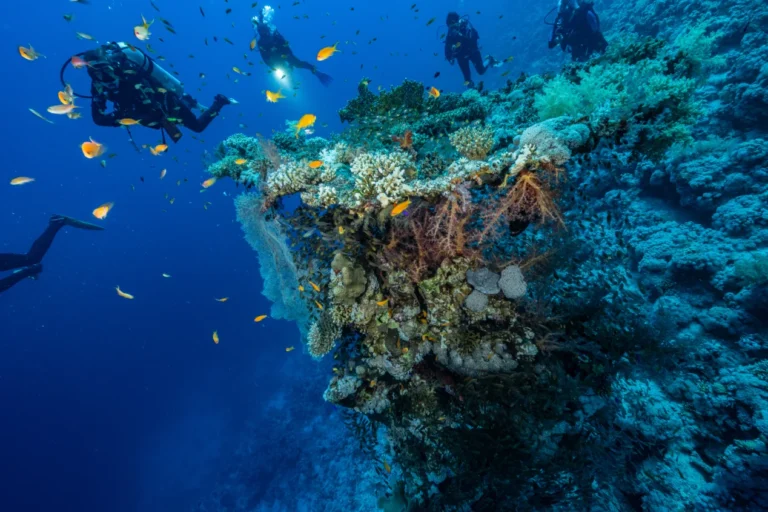 Buceo en las Islas Baleares: