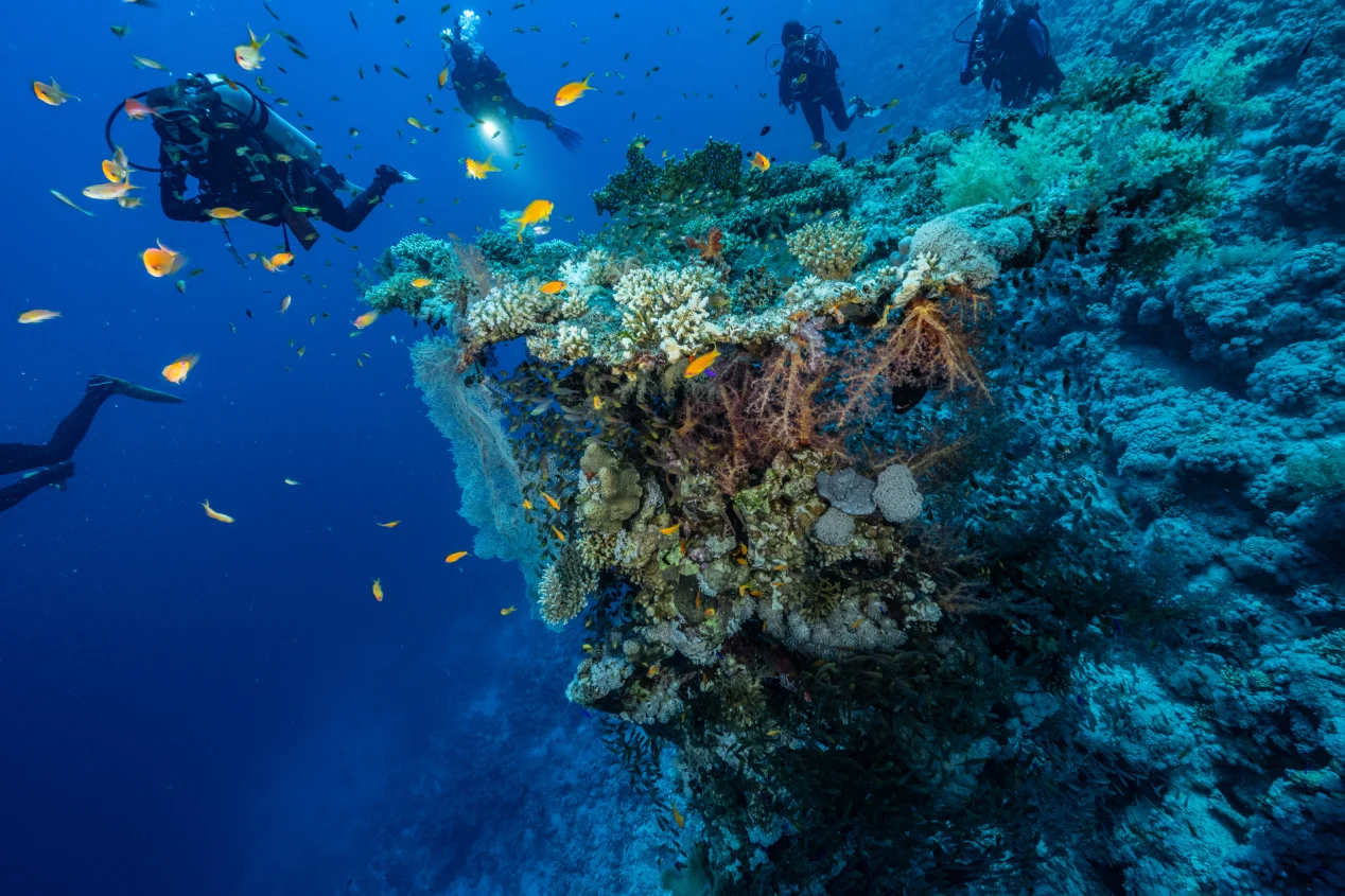 Buceo en las Islas Baleares: