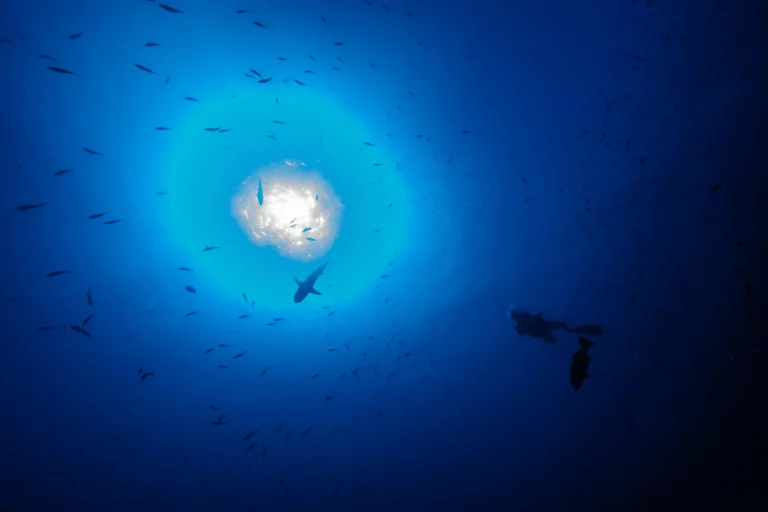 Mejores lugares de buceo en Canarias