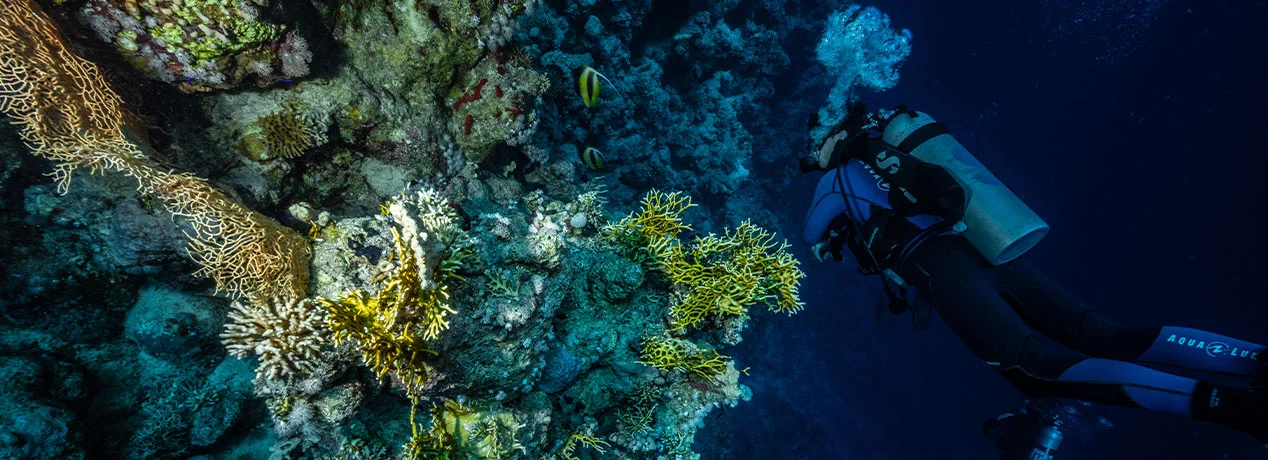 Actividades de buceo en las Islas Baleares