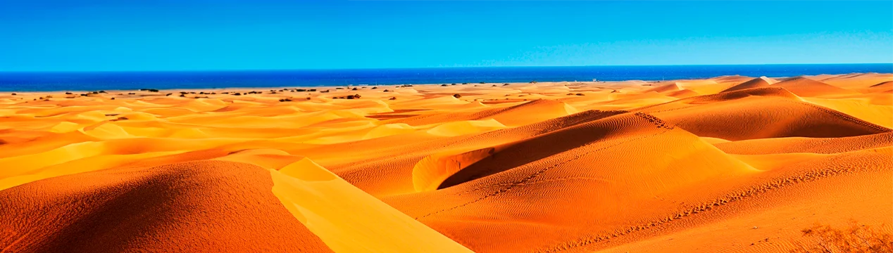 El Paraje de las Dunas Maspalomas