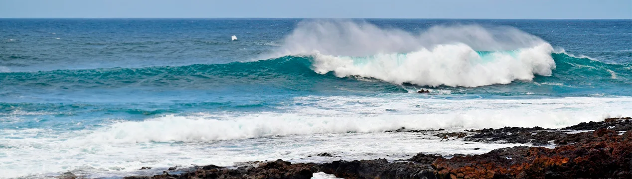 Época de surf en la Gran Canaria