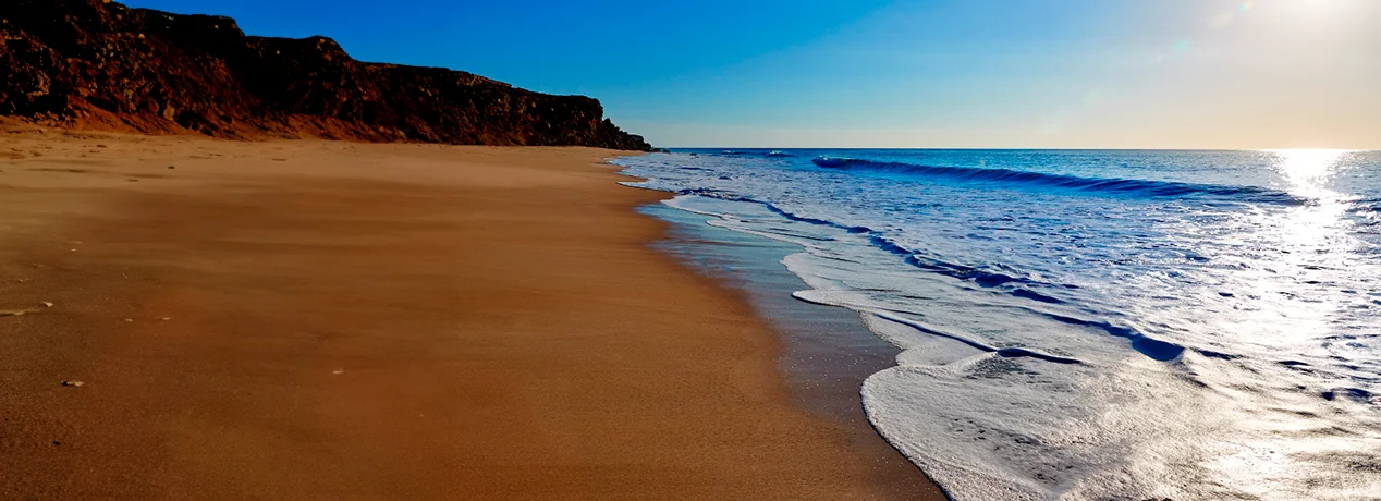 ¿Por qué elegir las Islas Canarias para tus vacaciones?