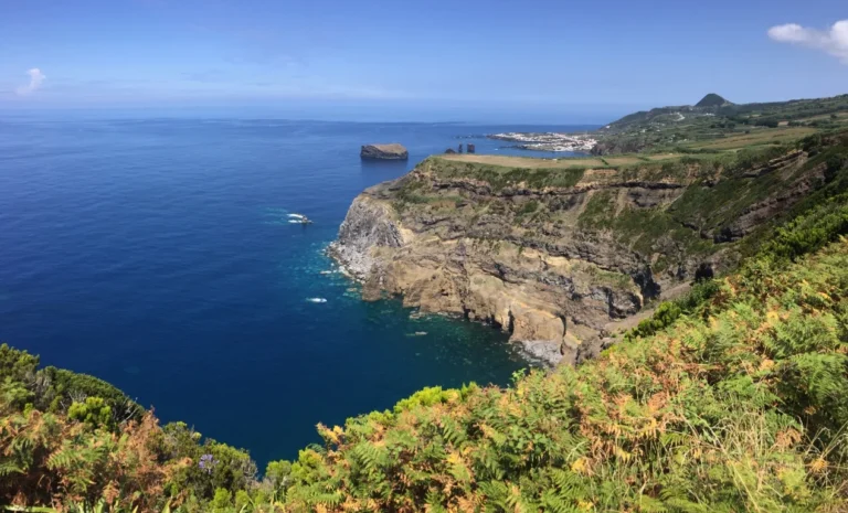 La mejor época de avistamiento de ballenas en Azores