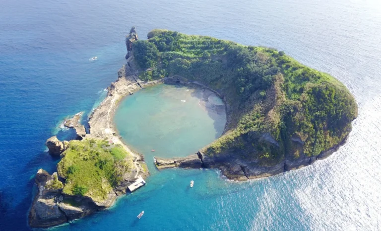 Los 5 mejores lugares para bucear con ballenas en Azores