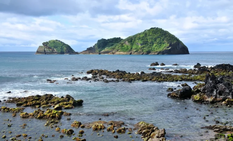 ¿Qué tiburones hay en las islas Azores?