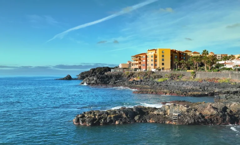 ¿Dónde bucear con tortugas en Tenerife?