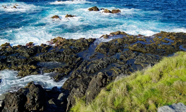 Top 5 mejores centro de buceo en Azores