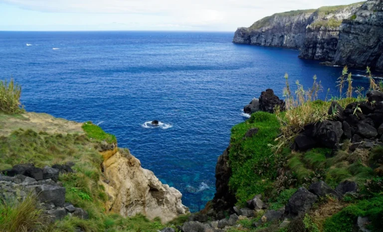 Nadar con Delfines en las Islas Azores