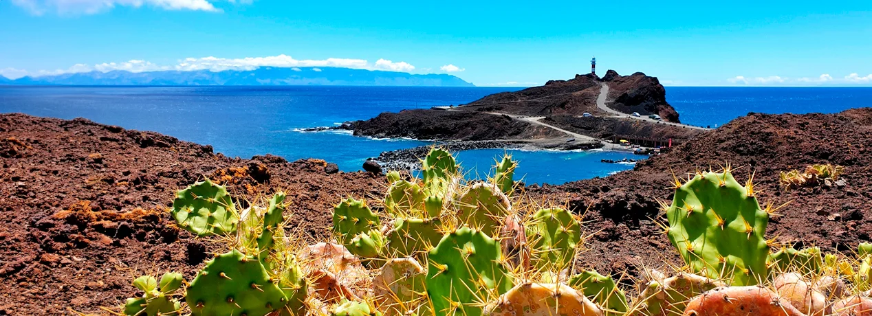 Punta de Teno