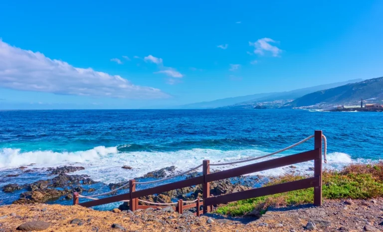 Top 10 mejores lugares para bucear en Tenerife