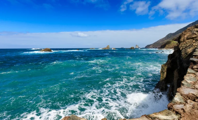 Secretos de buceo en Tenerife