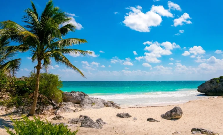 La Quinta Avenida en la Playa del Carmen