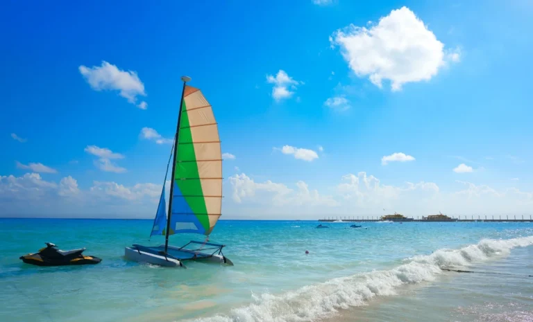 Top 5 mejores escuelas de buceo en Playa del Carmen