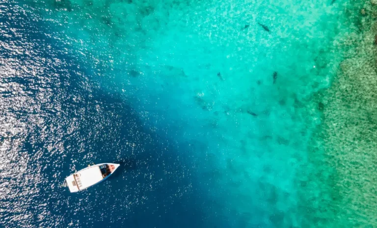 Los mejores puntos de buceo en Fuvahmulah