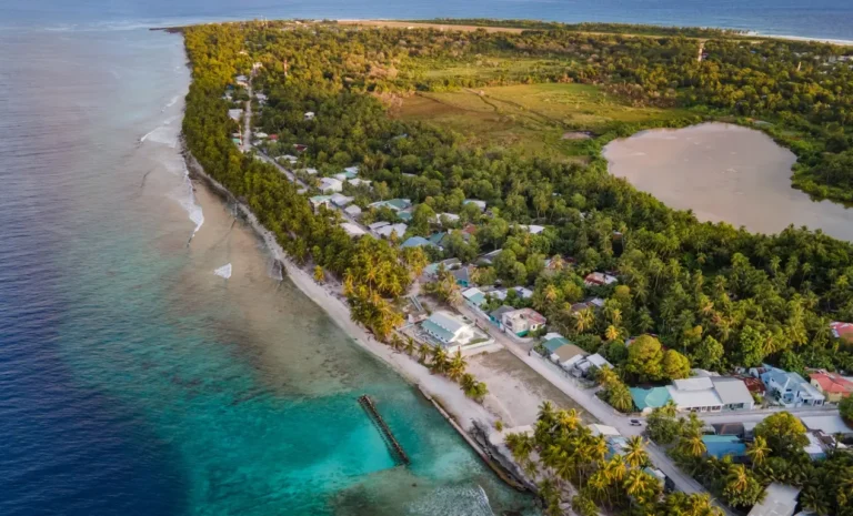 Fuvahmulah ¡Bucea con Tiburones!