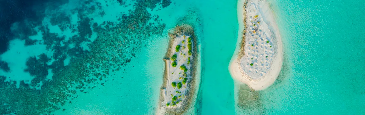 Atolón Ari: Paraíso del buceo