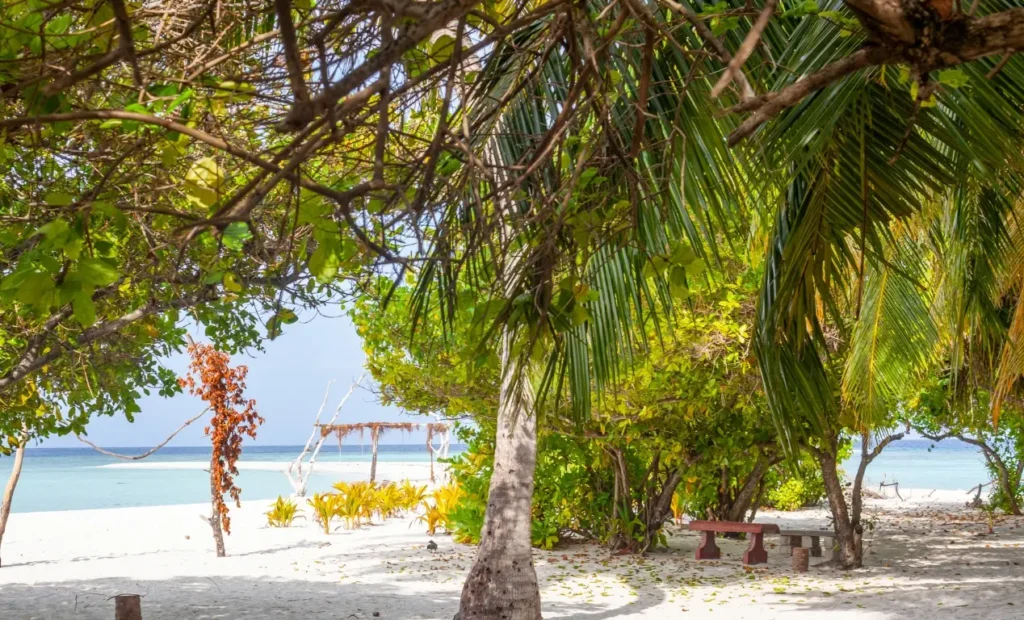 Omadhoo