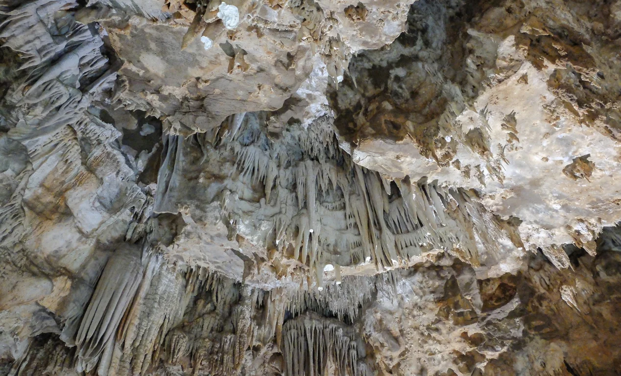 cuevas de St. John's