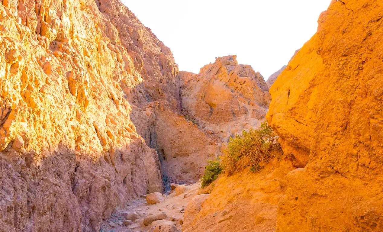 The Canyon