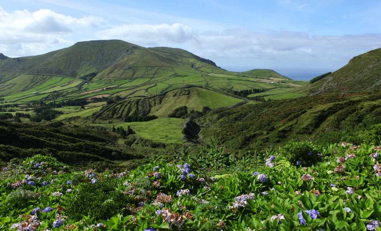 Isla de Flores