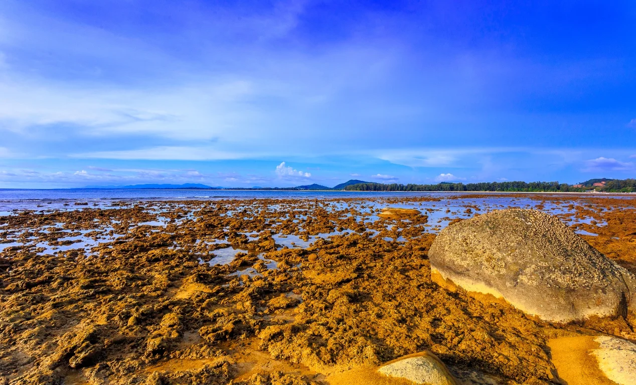 Nai Yang Beach