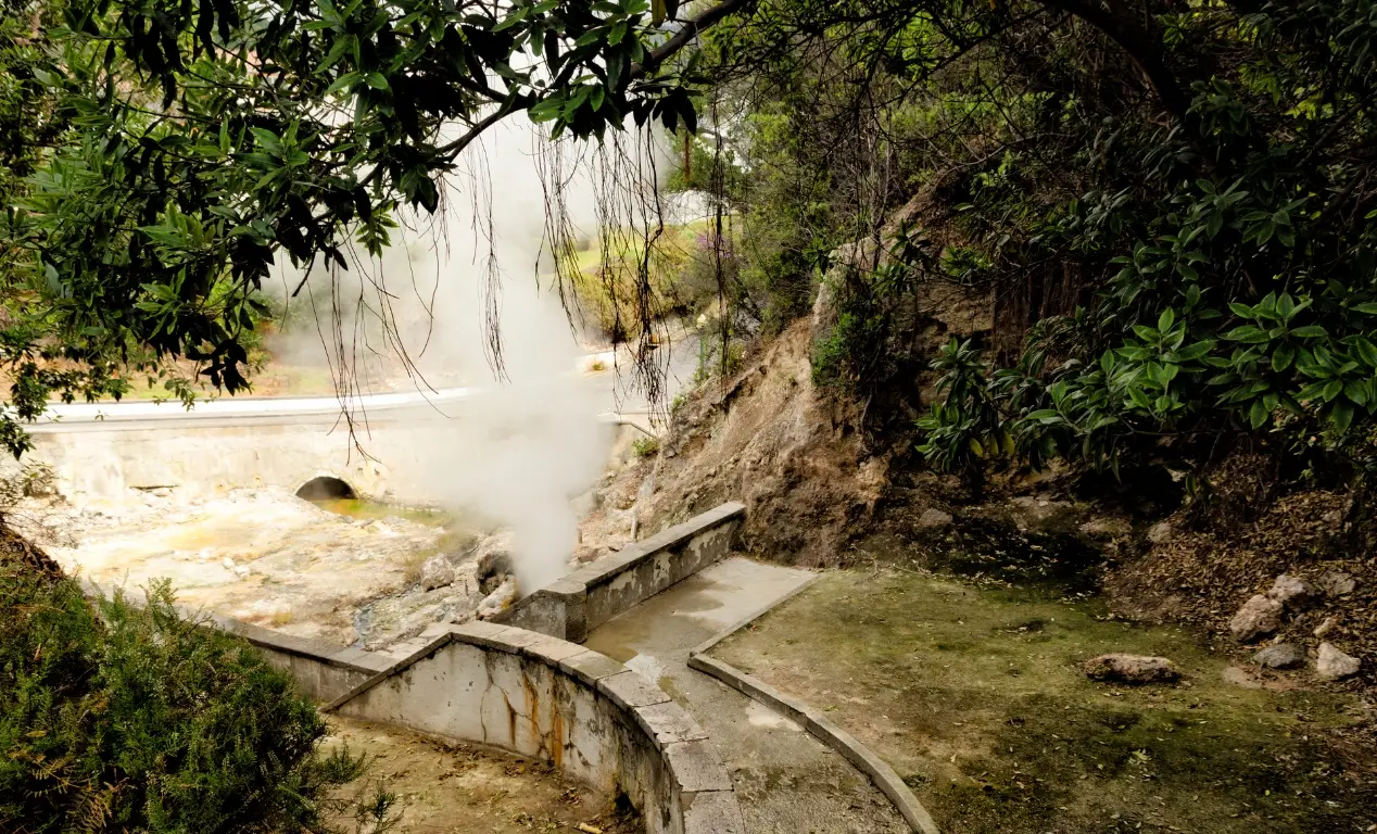 Furnas