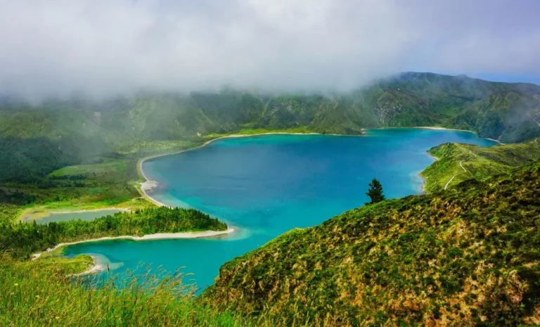 ¿Qué es mejor Azores o Madeira? Escoge tu destino de buceo