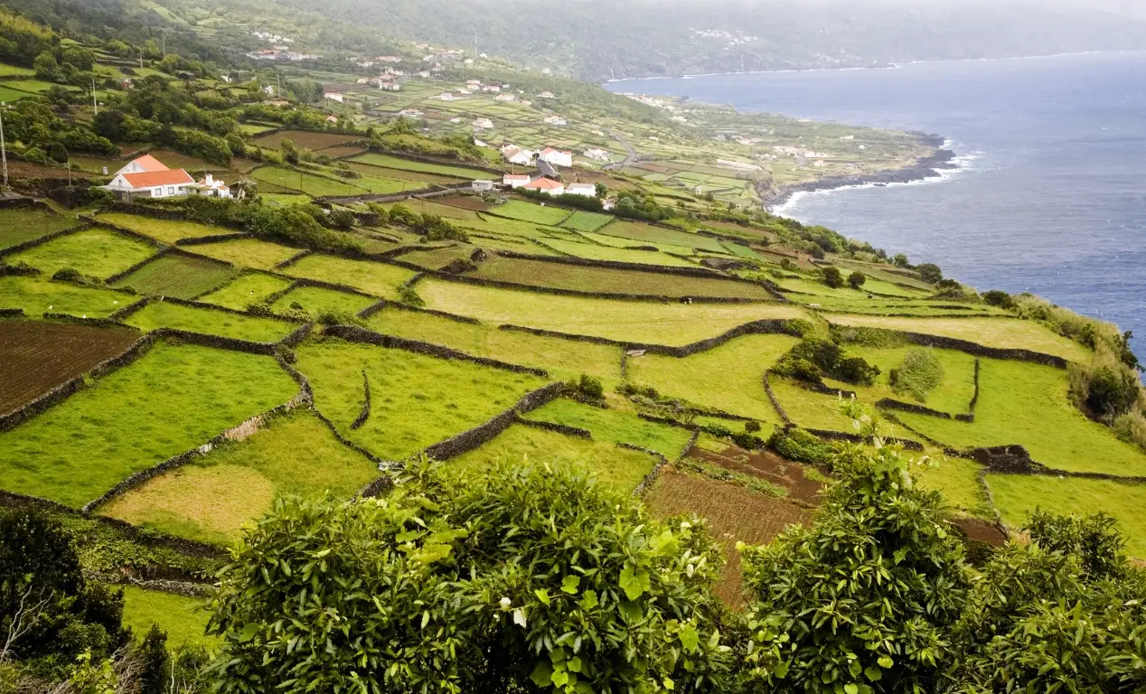 Guía de viaje a la Islas Azores ¿Qué ver y qué cosas hacer?