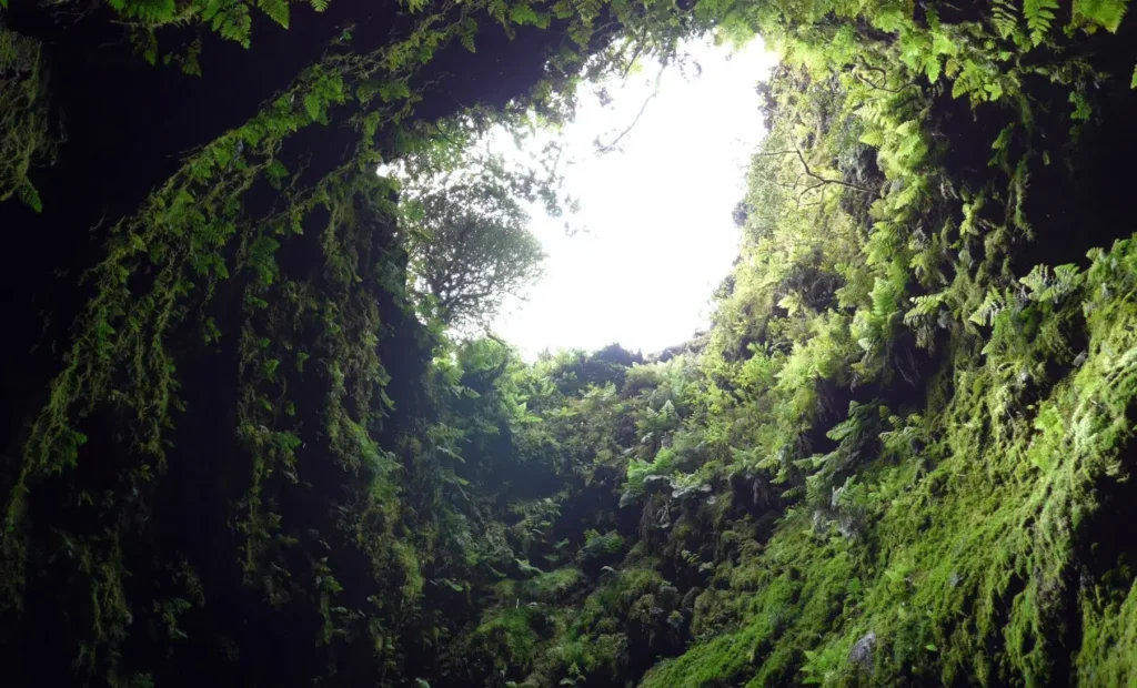 La Reserva Natural Algar do Carvão Azores