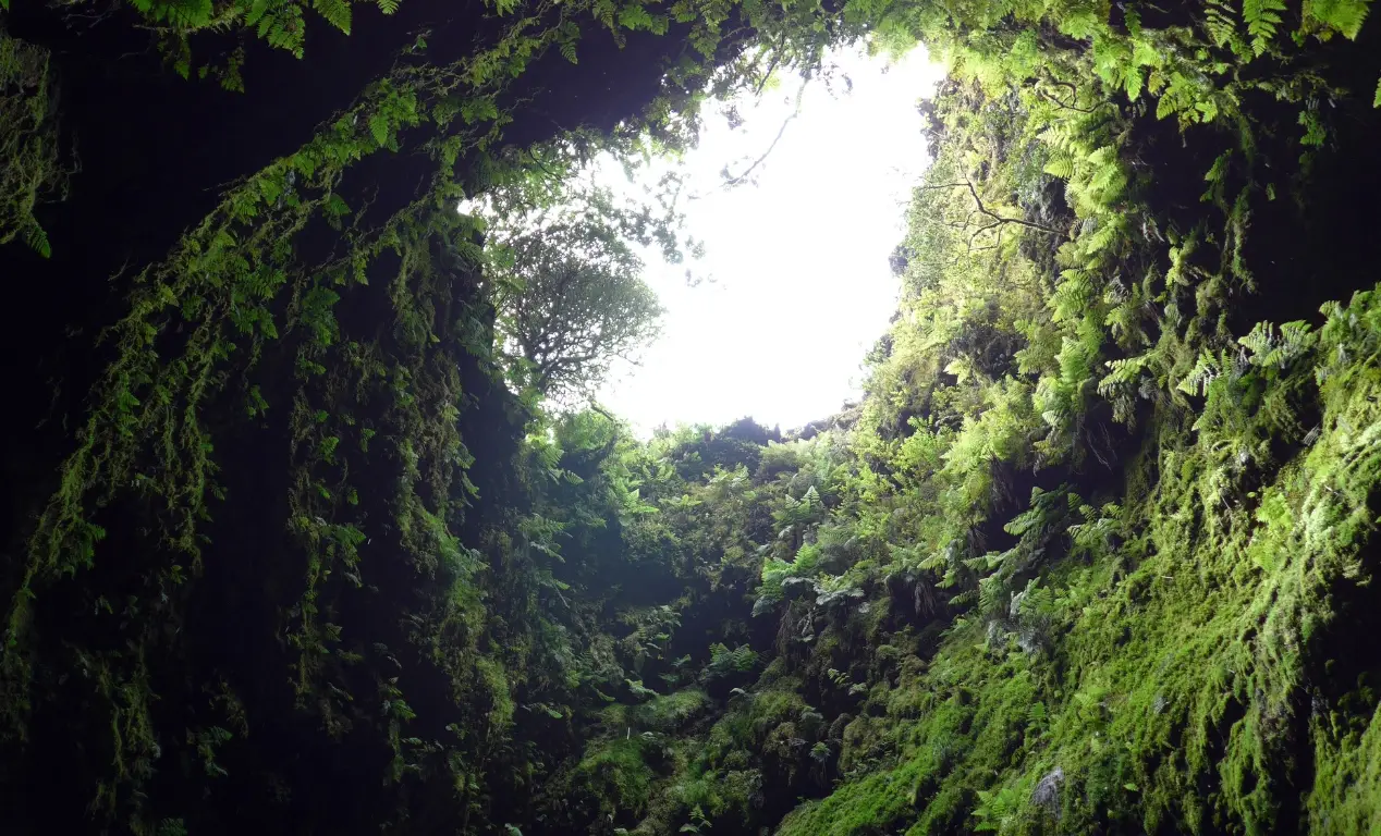 La Reserva Natural Algar do Carvão Azores
