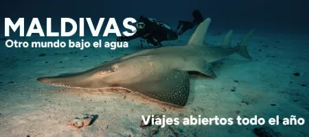 Vive una experiencia única de 8 días en Atolones Centrales de Maldivas