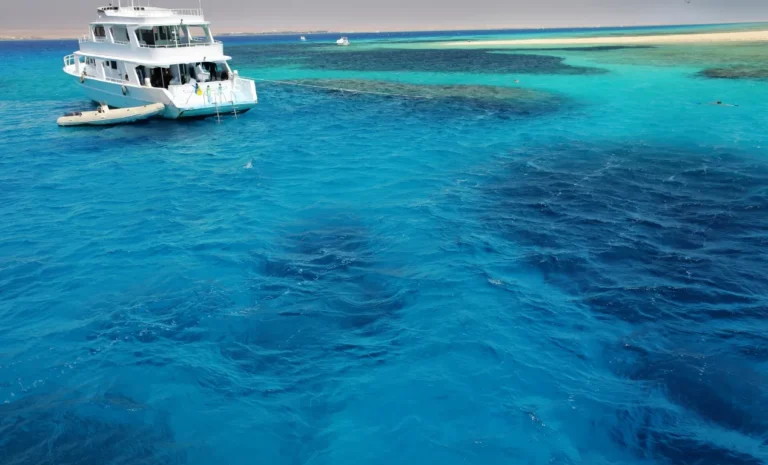 Ofertas viajes de buceo Mar Rojo Vida a Bordo