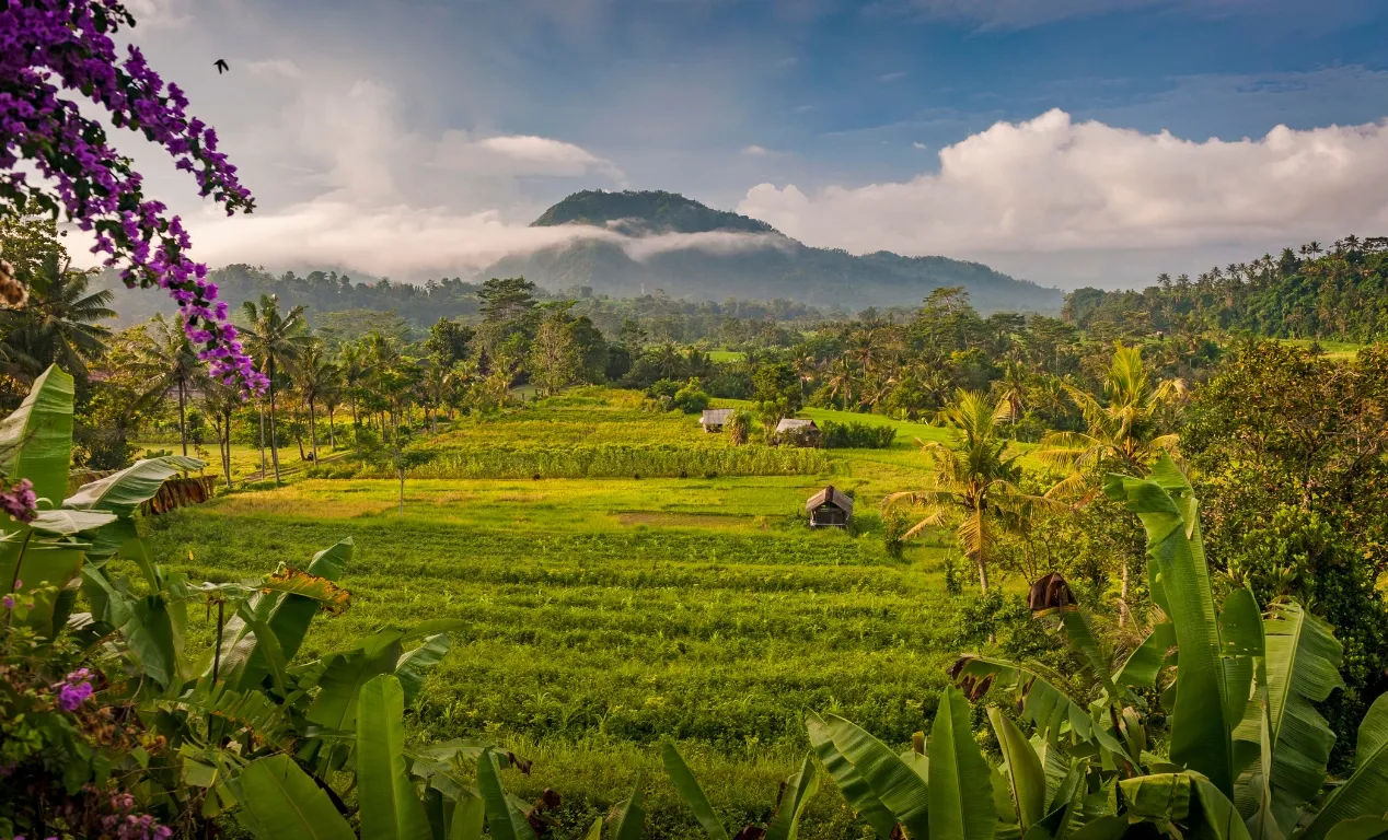¿Cómo organizar un viaje por Bali?