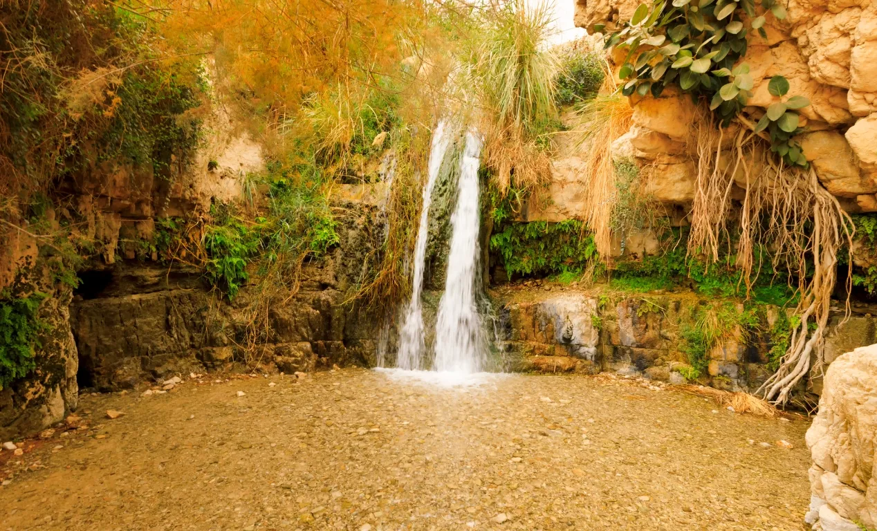 Reserva Natural de Ein Gedi