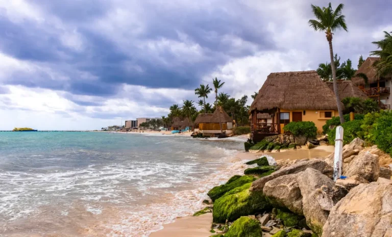 Los mejores lugares para hacer snorkel en Playa del Carmen