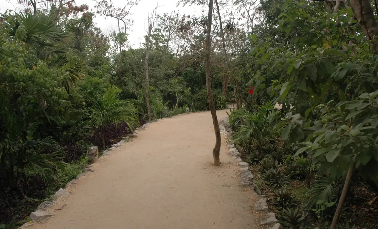 La selva de Tulum