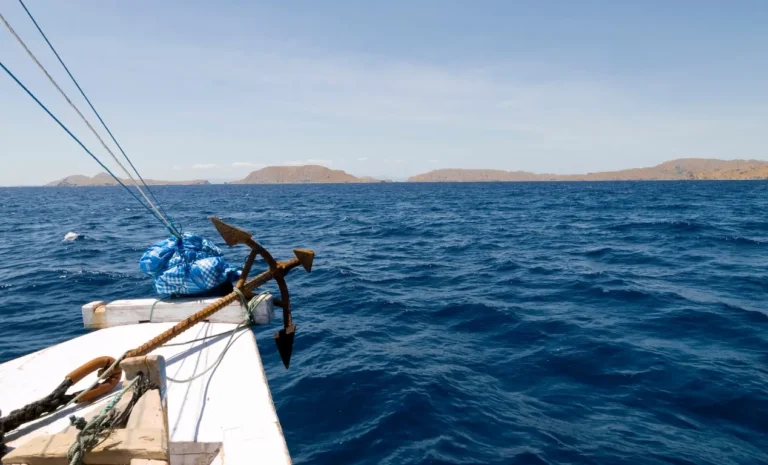 Top 5 mejores excursiones en la Isla de Komodo