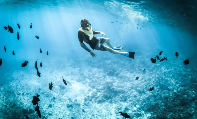Mejores lugares para hacer snorkeling en la Isla de Komodo