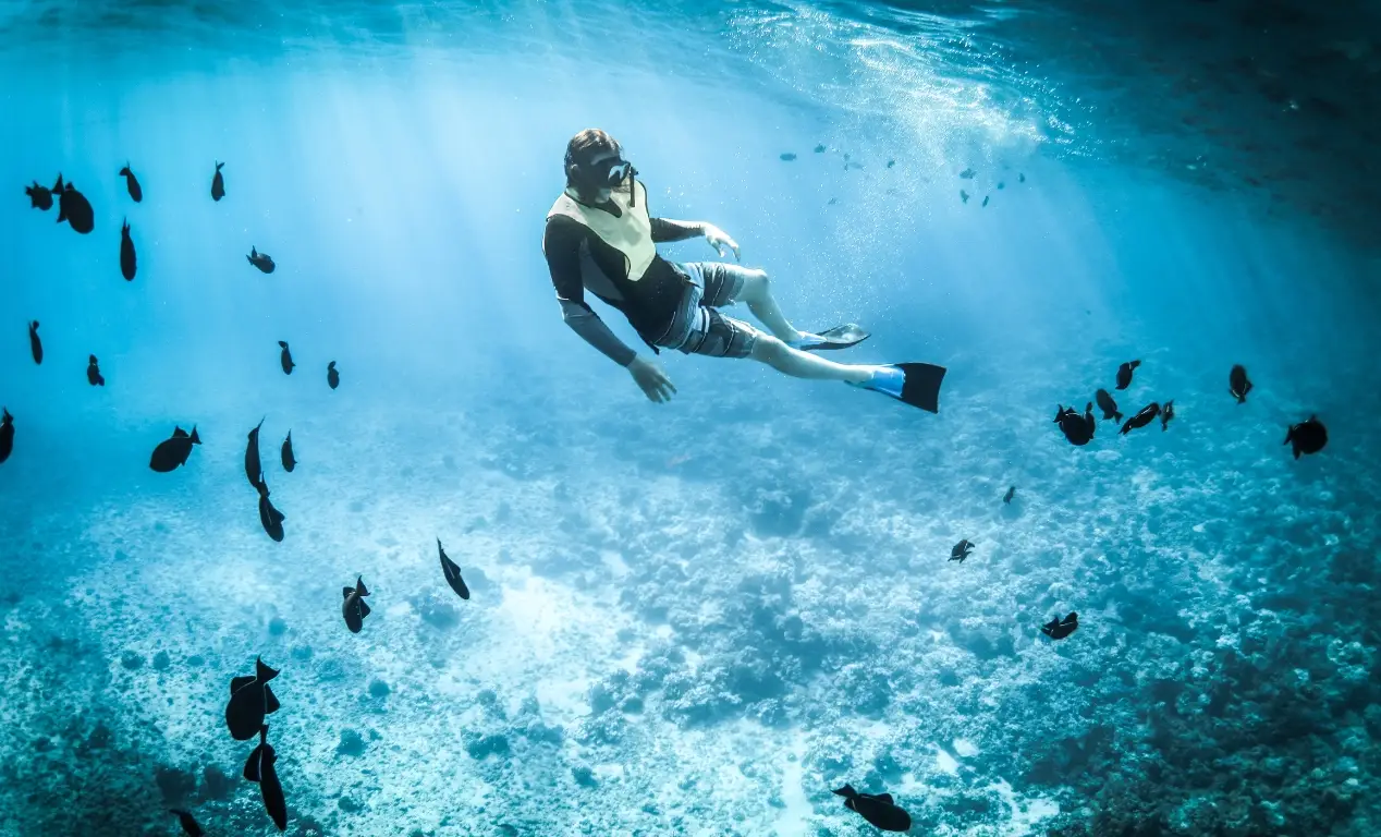 Mejores lugares para hacer snorkeling en la Isla de Komodo