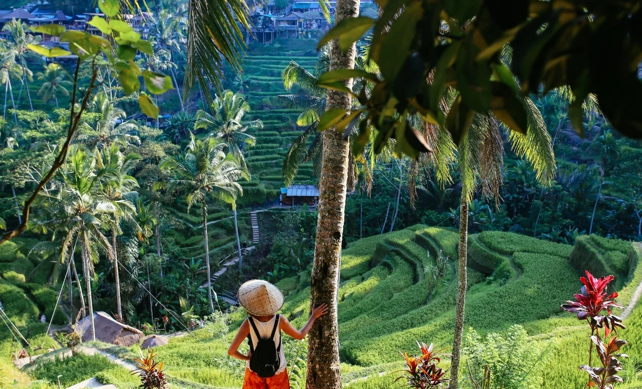 Indonesia en Octubre, Noviembre y Diciembre ¿Qué ver y hacer?